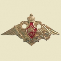Орел на пимсе