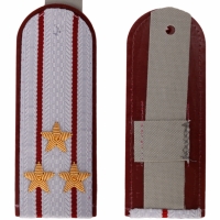 Погоны ФСИН серые, Полковник, вышитые звезды