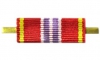 Орденская планка «За отличие в службе ФСИН» (II степени)