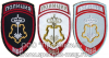 Вышитые нарукавные знаки (шевроны)