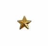 Звезда 13 мм. пластиковая золотая