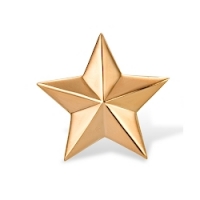 Звезда 20 мм. пластиковая золотая