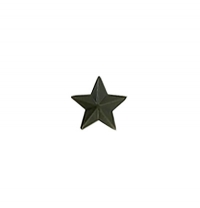 Звезда 13 мм. пластиковая олива