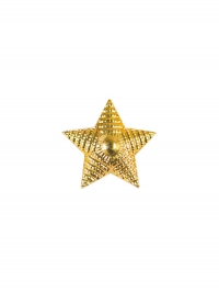 Звезда 20 мм. пластиковая золотая рифленая